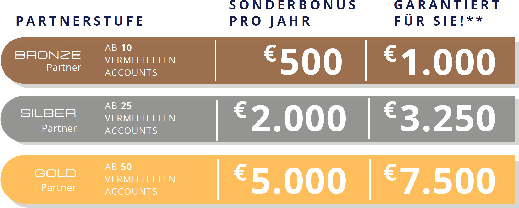 DSM-Online-Partnerschaft